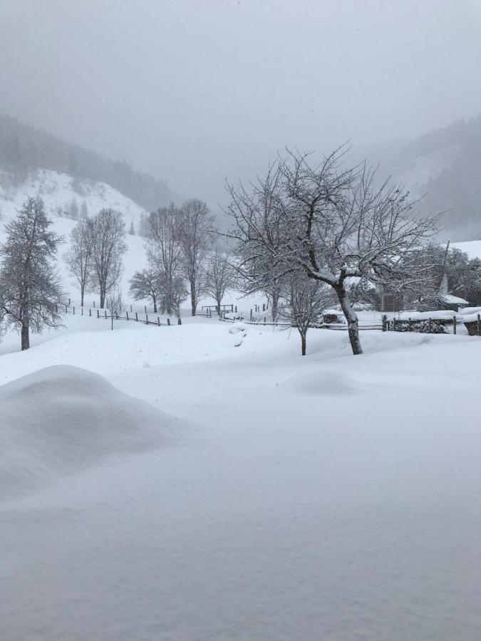 Bio Schartenhof Sankt Johann im Pongau Bagian luar foto