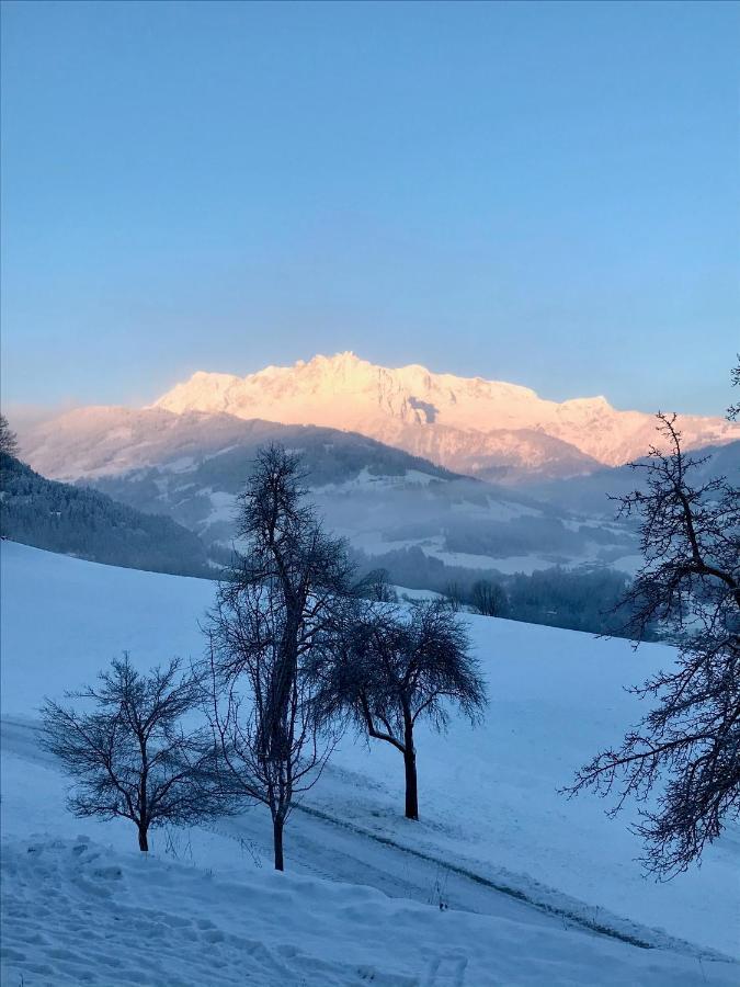 Bio Schartenhof Sankt Johann im Pongau Bagian luar foto